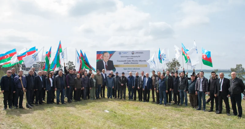 Abşeron rayonunda 1200 ədəd Eldar şamı ağacı əkilib