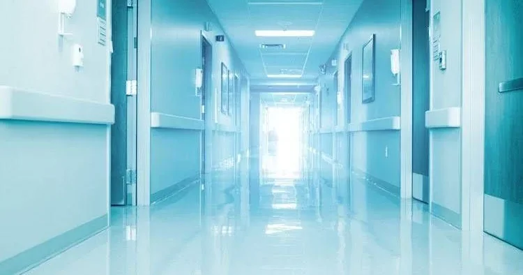 Sosial şəbəkələrdə donorluq təklifləri VİDEO