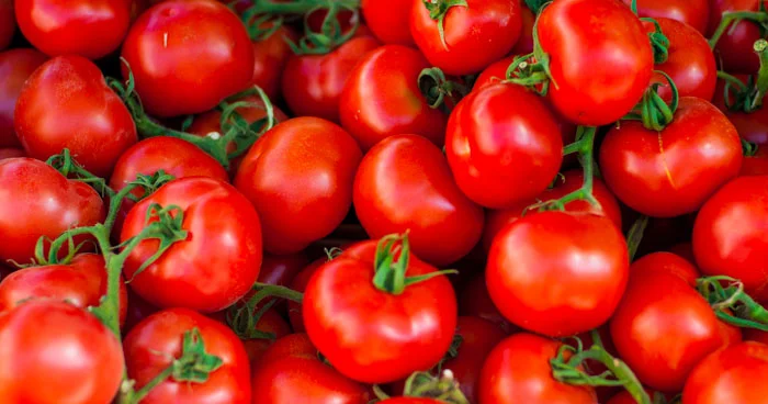 Россельхознадзор в Дагестане запретил ввоз 152 тонн продукции из Азербайджана