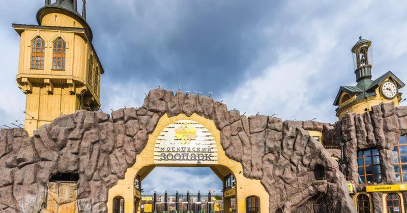 Moskva zooparkında naməlum şəxs heyvanları zəhərləməyə çalışıb