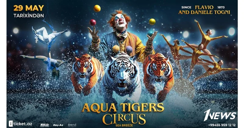 Aqua Tigers Circus главное цирковое событие этого лета на сцене Circus Sea Breeze!