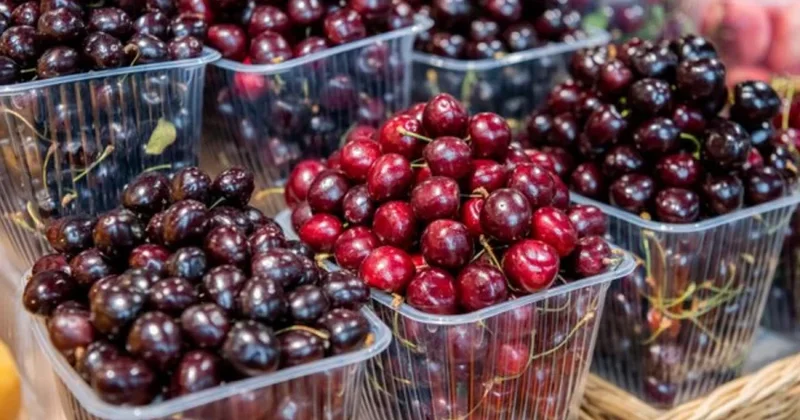 Gündə nə qədər gilas yemək olar?