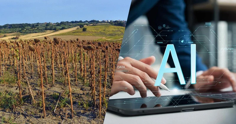 Avropanın bəzi regionları süni intellekt səbəbindən su ehtiyatlarını itirə bilər