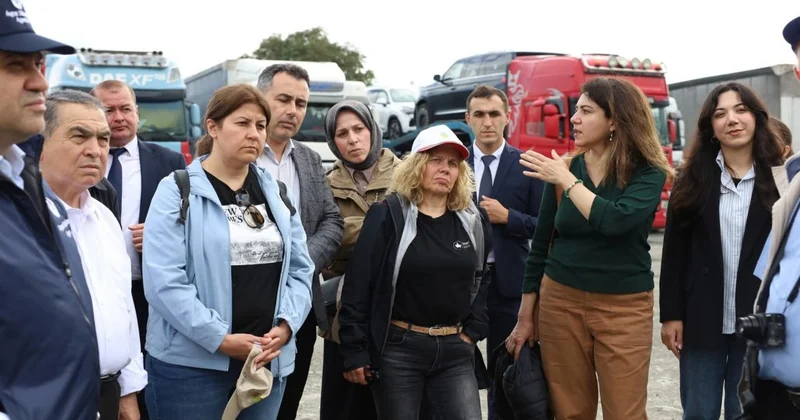 Qəhvəyi mərmər bağalığı yenidən aktivləşib FOTO