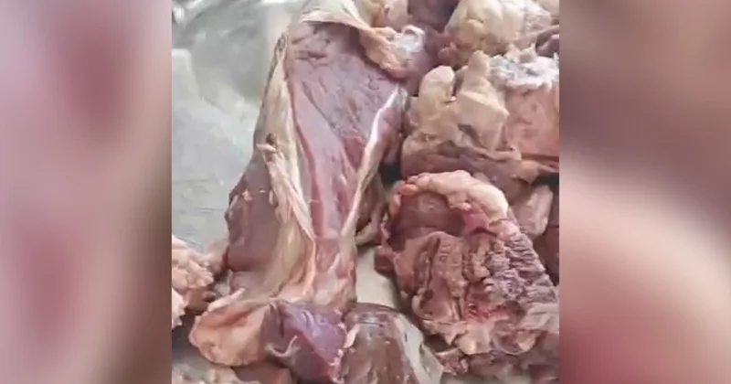 İcra Hakimiyyətinin göndərdiyi qurban əti köhnə olub? Açıqlama