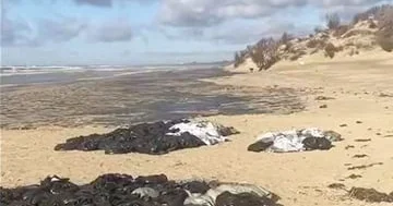 Rusiya çimərliyi turistçilər üçün tələyə çevrilib...