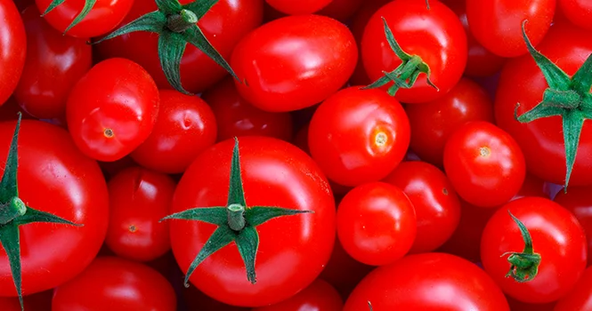 Помидоры и не только: Россельхознадзор ввел запрет на ввоз с/х продукции из Армении