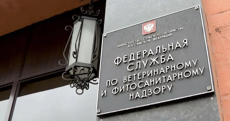 СМИ: Россия начала торговую войну с Арменией Minval Politika