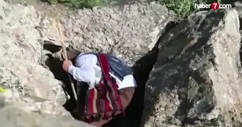 Müğənni hantavirus və koronavirus haqqında mahnı oxudu VİDEO