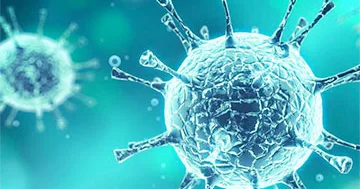 Avropada Hantavirus QORXUSU bu ölkə hərəkətə keçdi...