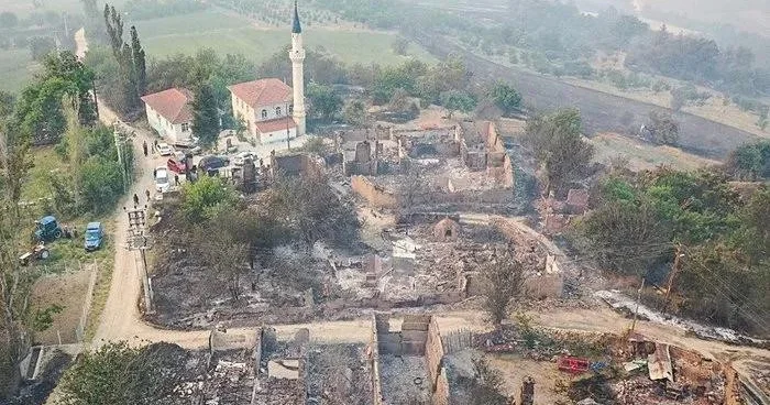 Türkiyənin bəzi bölgələrində güclü meşə yanğınları baş verib