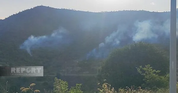 Laçında minadan təmizlənməmiş ərazidə yanğın Foto