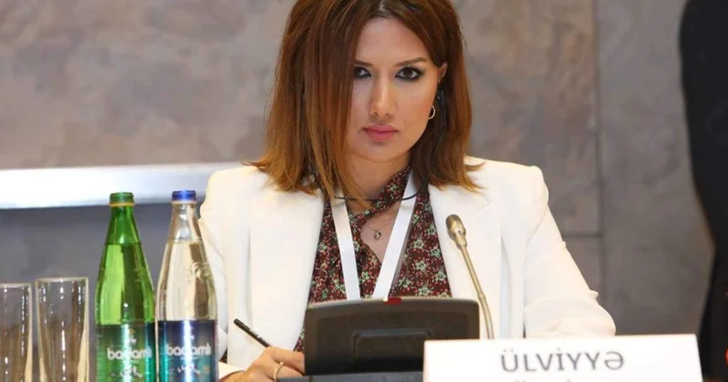 Siyasi ekspert: Bu cür hadisələr ölkələrarası münasibətlərə kölgə salır