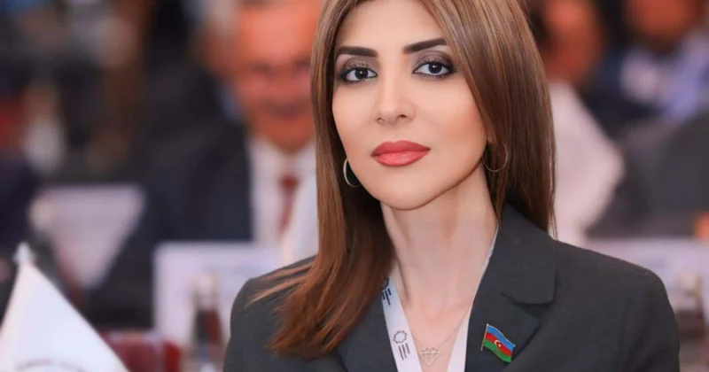 Rusiyadakı anti Azərbaycan ritorikası açıq şəkildə koordinasiya edilmiş xarakter daşıyır ŞƏRH