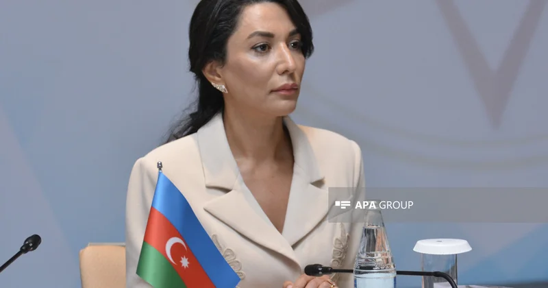 Səbinə Əliyeva Yekaterinburqda azərbaycanlılara qarşı baş verən hücumlarla bağlı Rusiya Ombudsmanına müraciət edib