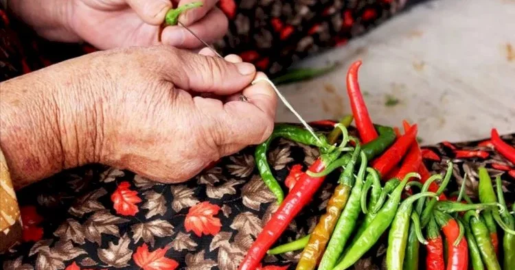Arıqlamaq istəyənlərin diqqətinə! Məşhur iddianın əsl üzü