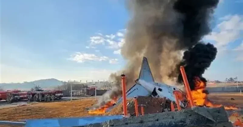 AFP: Авиакатастрофа во Франции стала крупнейшей в частной авиации страны