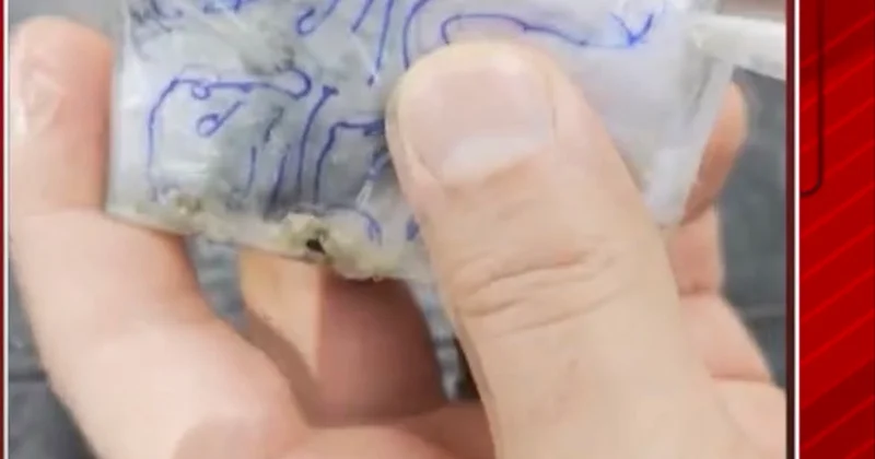 Dənizdən tapılan cadu onu təhlükəyə atdı VİDEODA KONKRET