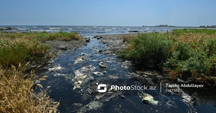 Зловоние вместо морского бриза: экологическая проблема столичного поселка