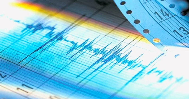 У побережья Индонезии произошло сильное землетрясение