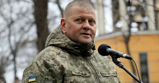 Zalujnıdan xəbərdarlıq: Ukrayna tək qala bilər!