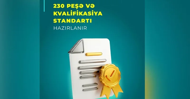 В Азербайджане утвердят более 200 профессиональных и квалификационных стандартов