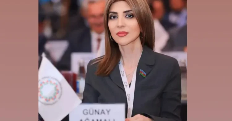 Azərbaycan heç kimi zorla çıxarmayıb, bölgəni könüllü tərk edənlər öz seçimlərini ediblər