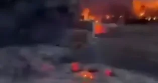 Еще в одной стране разбушевались лесные пожары ВИДЕО