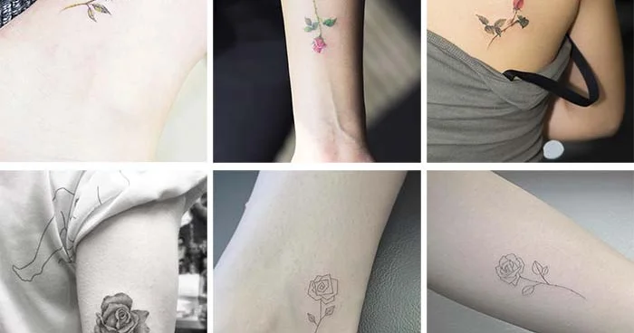 Tatular xərçəng yaradır? Onkoloqdan AÇIQLAMA