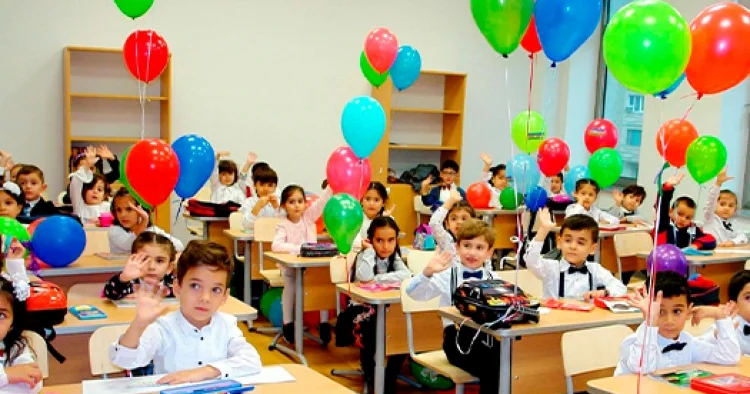 Dil suverenliyi, yoxsa iqtisadi praqmatizm? Rus sektorunun gələcəyi
