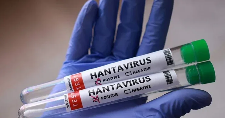 Çilidə hantavirus qurbanlarının sayı artdığından sanitar həyəcan elan edilib