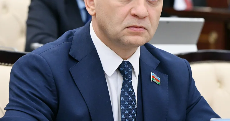 Ana dilinə sevgi Vətənə sevginin təməlidir