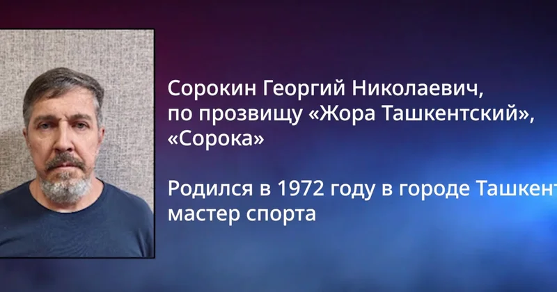 Daxili İşlər Nazirliyi Misirdə qanuni oğru “Jhora Dashkentsky”nin saxlandığını açıqladı