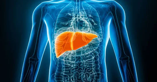 SN nin hepatoloqundan hepatitlərlə bağlı MÜSAHİBƏ