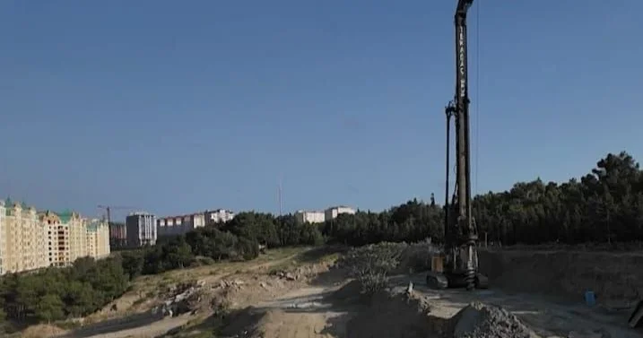 Şərurlu İsfəndiyarın şirkəti Sumqayıtda kütləvi ağac kəsimi QALMAQALINDA VİDEO
