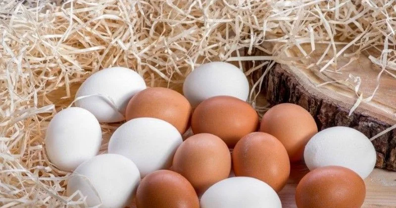 1 qəpiyə satılan yumurta indi 38 qəpik oldu? KONKRET