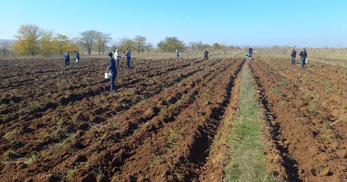 “Torpağı əkə bilmirik” Saatlı sakinlərinin su probleminə ADSEA dan açıqlama
