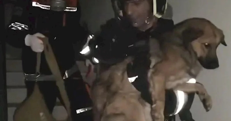 Ceyranbatanda yanğın olan binadan təxliyə həyata keçirilib Video