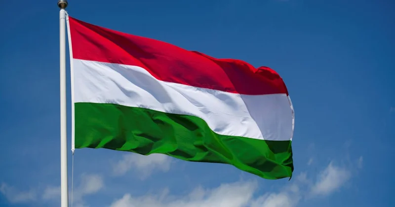 Macarıstan Ukrayna ordusunun komandirinə Şengen zonasına girişi qadağan edib