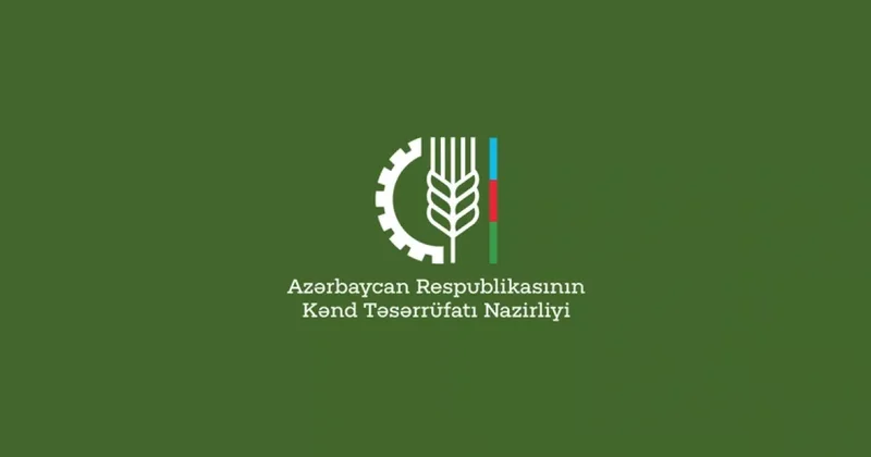 В аграрном секторе Азербайджана расширяется использование ИИ