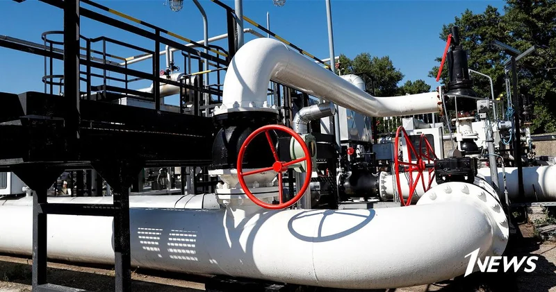 Поставки нефти по Дружбе возобновились