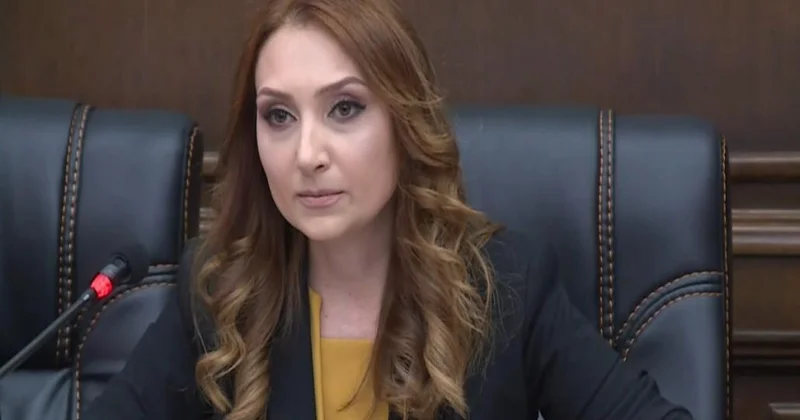 Ermənistanın ABŞ dakı sabiq səfiri Paşinyanın baş müşaviri təyin olunub