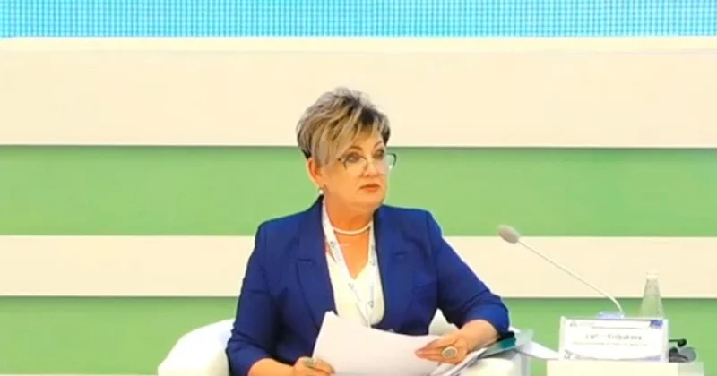 Ekspert: Azərbaycanın Mərkəzi Asiya ölkələri ilə logistika sahəsində əməkdaşlığı eyni vaxtda bir neçə istiqaməti əhatə edir