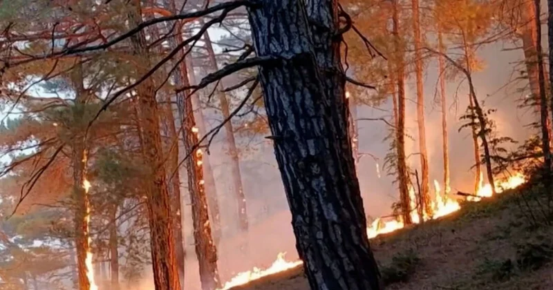 Ukrayna PUA sı Krasnodarda meşə yanğınına səbəb oldu