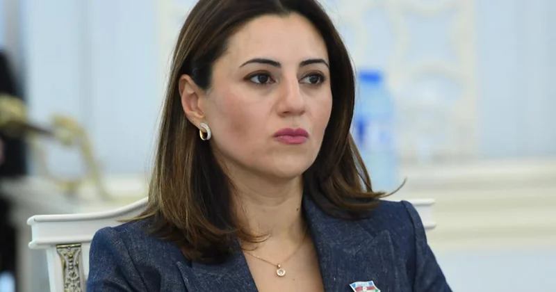 Hazırda Cənubi Qafqaz regionu yeni inkişaf mərhələsindədir ŞƏRH