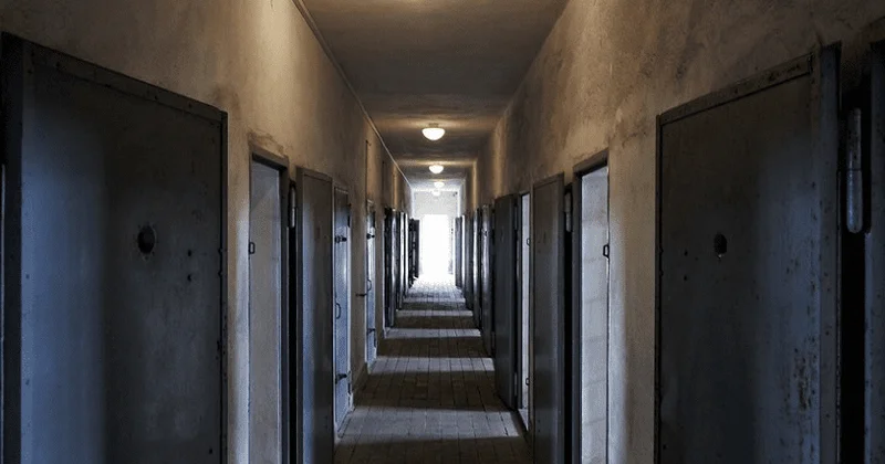 500 dən çox insanı əfv edildi