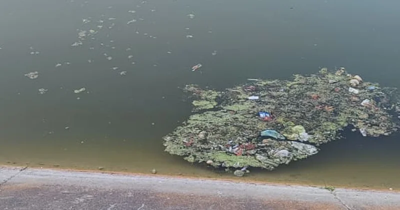 Bərdənin mərkəzi parkında antisanitariya: Üfunət iyi gəlir (FOTO/VİDEO)