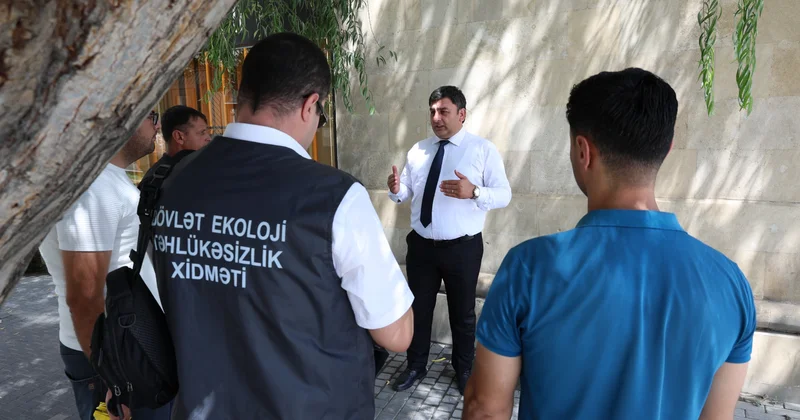 “İçərişəhər”də ağaclar nömrələnir FOTO