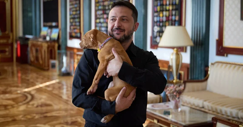 Почему Зеленский обнимает очень хорошую девочку Фрейю? Minval Politika