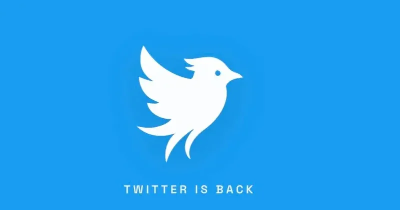 “Twitter” geri qayıdır
